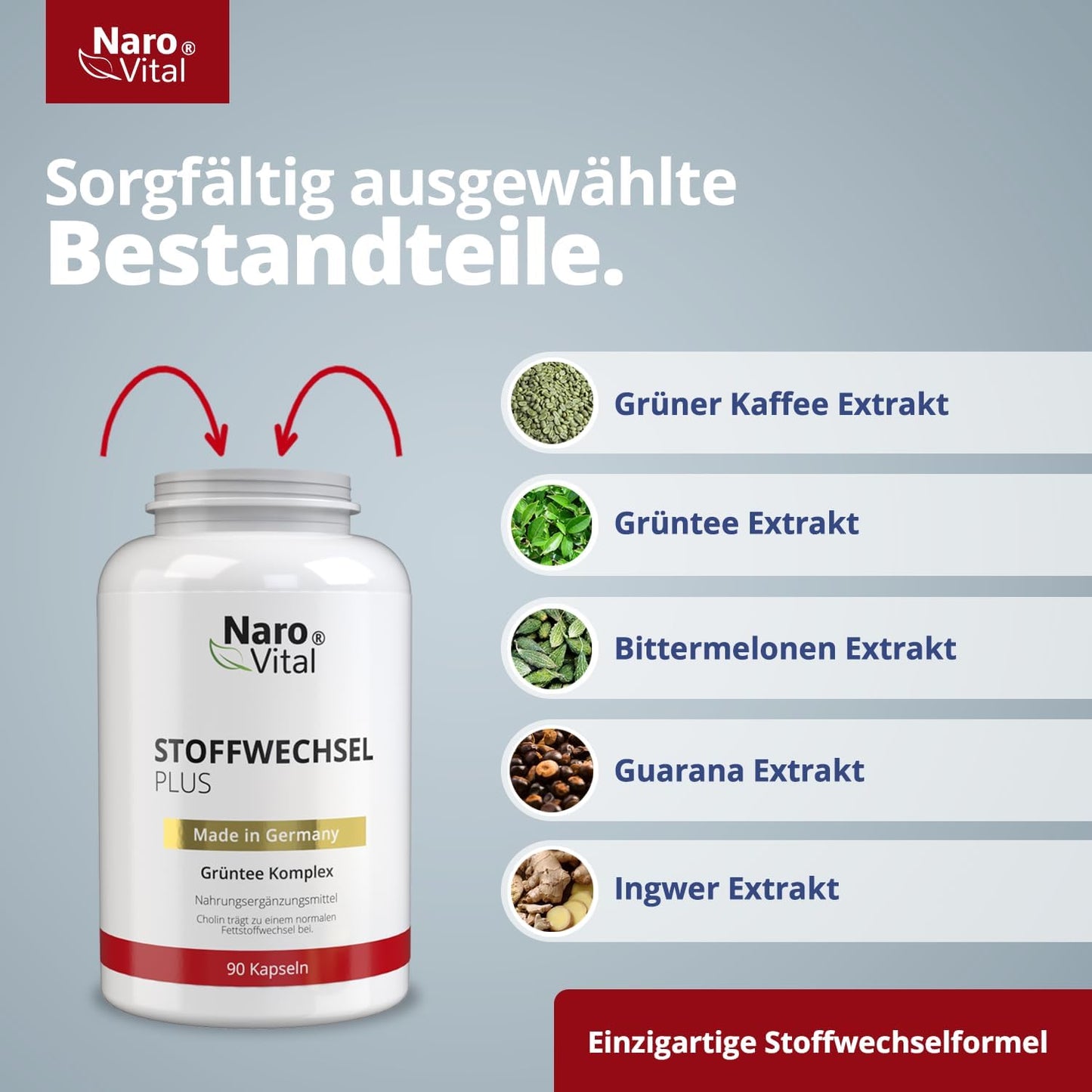 Stoffwechselkomplex - stark dosiert mit grünem Tee, grünem Kaffee, bitterer Melone, Guarana, Cholin und Ingwer - 90 vegan