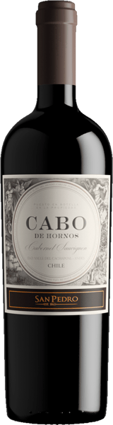 Cabo de Hornos 2021
